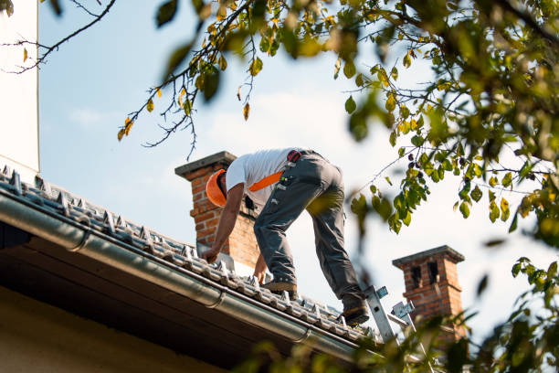 Best Roof Maintenance Services  in Bryson City, NC
