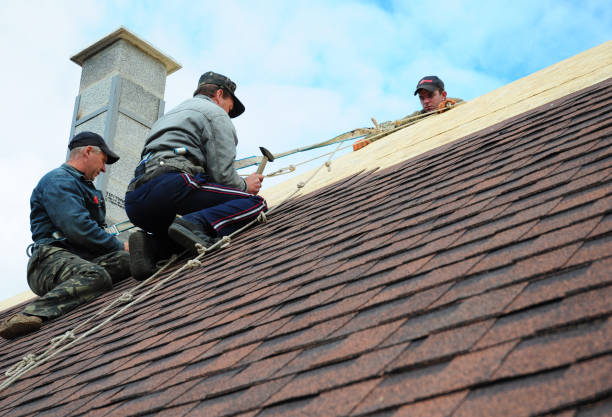 Best Shingle Roofing Installation  in Bryson City, NC