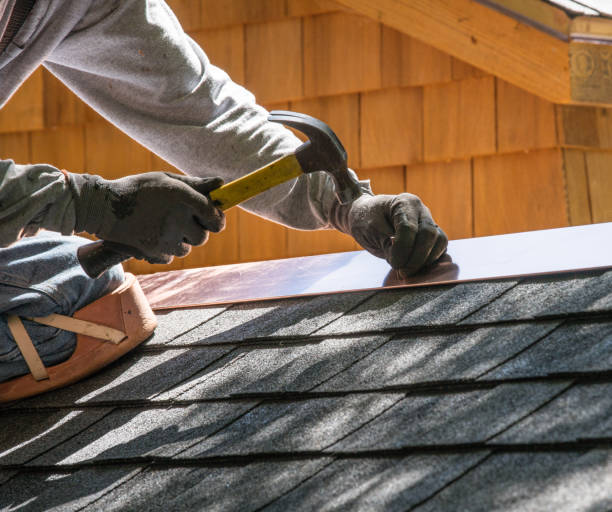 Best Roof Gutter Cleaning  in Bryson City, NC